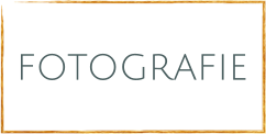 fotografie